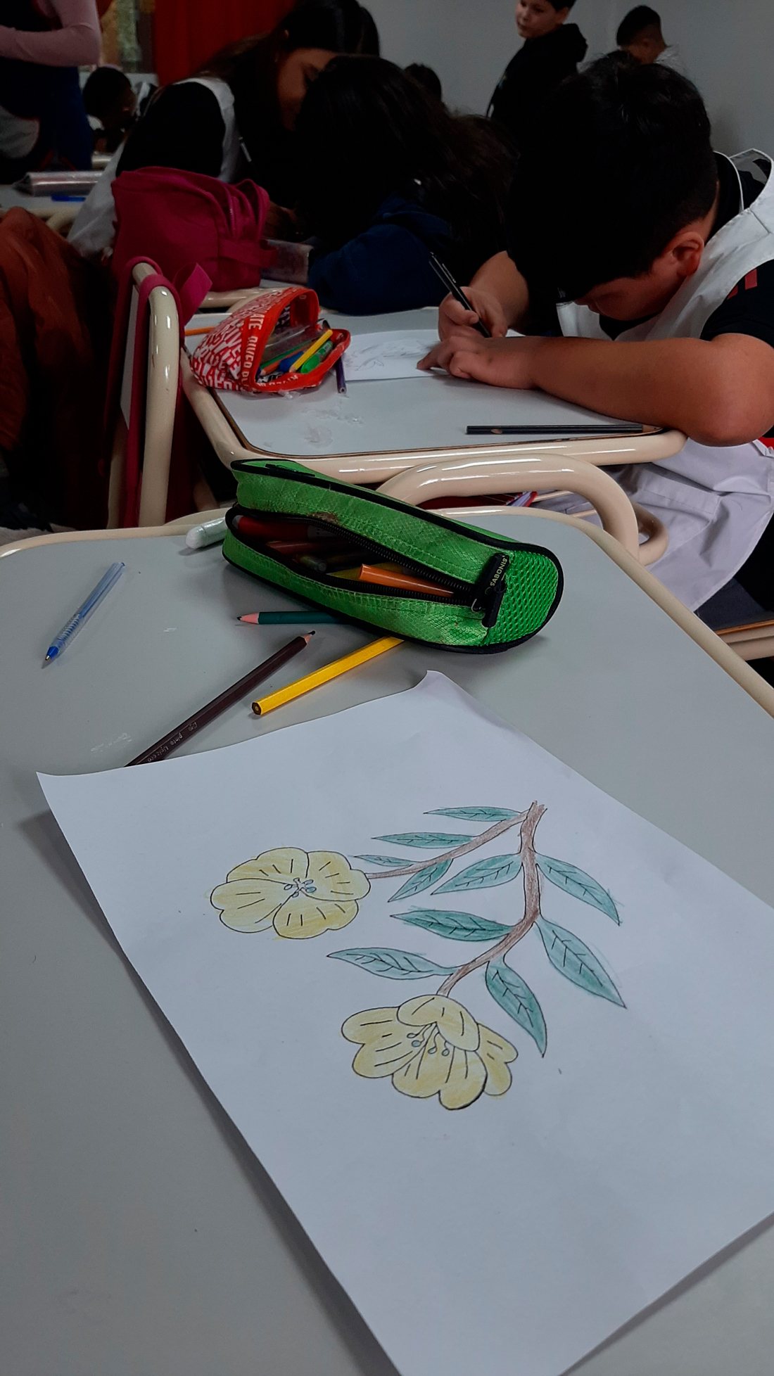 Valoración-de-las-especies-nativas-sus-usos-en-nuestra-comunidad-01