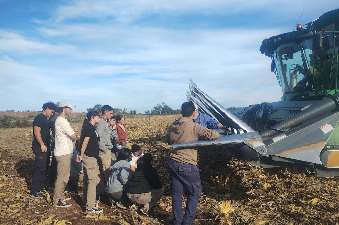 Establecimiento Don Roberto (1)