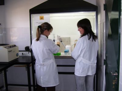 Año 2011. Análisis de marcadores moleculares.  Laboratorio de Biotecnología de la EEA INTA Marcos Juárez.