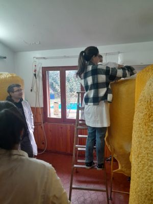 Cervecería Rankel (11)