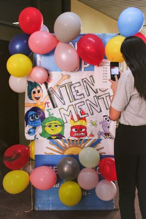 FICA- Minimentes (19)