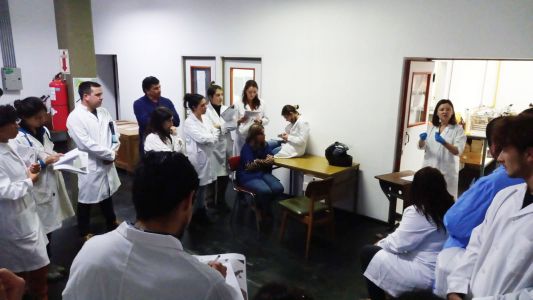 Introducción-a-la-Biología-de-Suelo-con-una-Mirada-a-la-Región-Semiárida-03