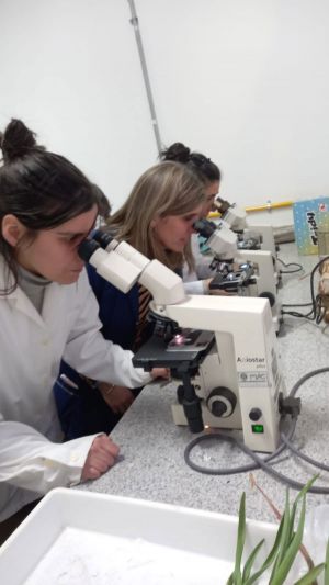 Introducción-a-la-Biología-de-Suelo-con-una-Mirada-a-la-Región-Semiárida-04