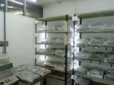 LabSem-30-02