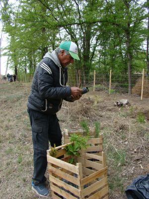 Mas Arboles, Mas Vida (05)