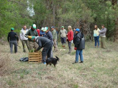 Mas Arboles, Mas Vida (07)