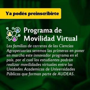 PROGRAMA-MOVILIDAD-VIRTUAL-AUDEAS-01
