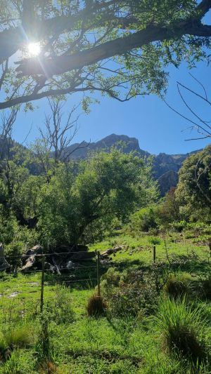 Papagayos Y El Descanso (12)