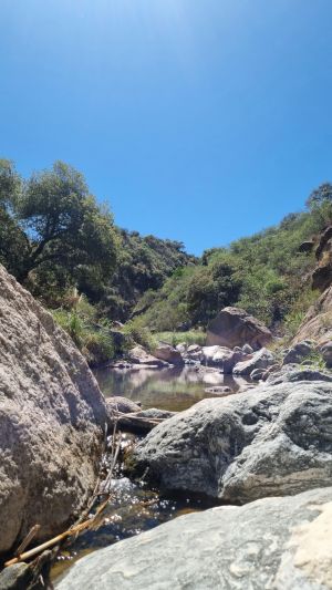 Papagayos Y El Descanso (14)