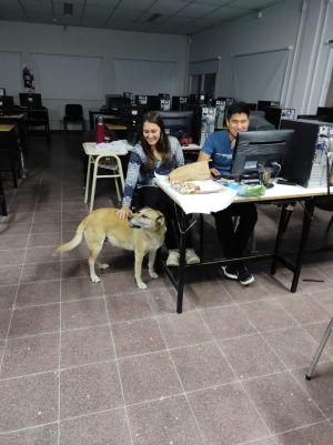 RALL INNOVACION - FICA (12)