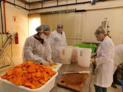 Productos Nutritivos  (5)