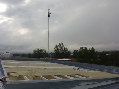 Arreglos (6)