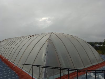 Arreglos (7)