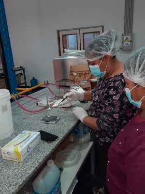 Capacitacion-montenegro- (8)