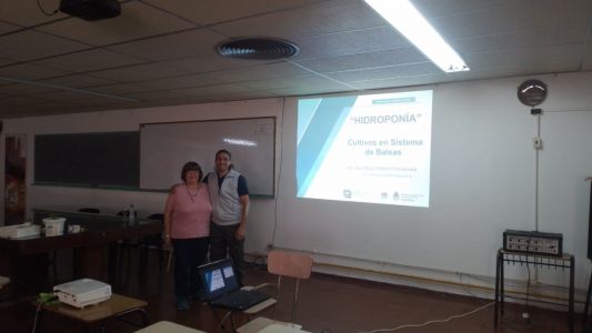 Hidrpponicos-04