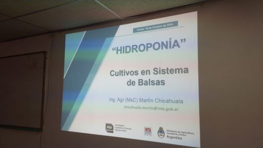 Hidrpponicos-06