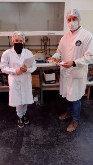 Ing Alimentos Trabajo Final (2)