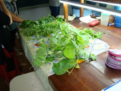Taller-agronomia (4)