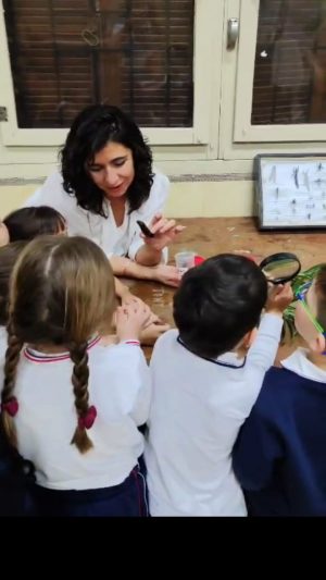 Taller El árbol, Como Fuente De Vida (12)
