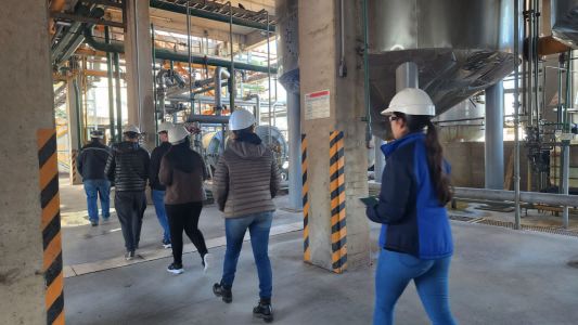 Visita-diasser-002