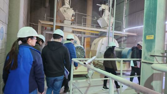 Visita-diasser-07